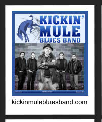 kickinmulebluesband.com